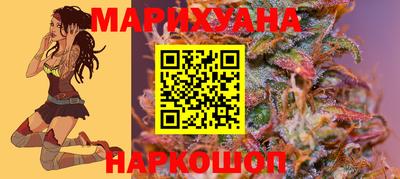 альфа пвп Волгодонск