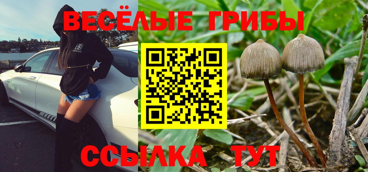 Галлюциногенные грибы MAGIC MUSHROOMS Ярославль