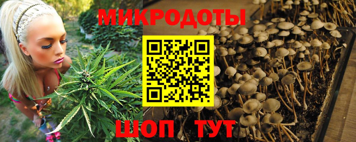 Псилоцибиновые грибы мицелий  Вход с VPN  Псилоцибиновые грибы Psilocybe  Ярославль 